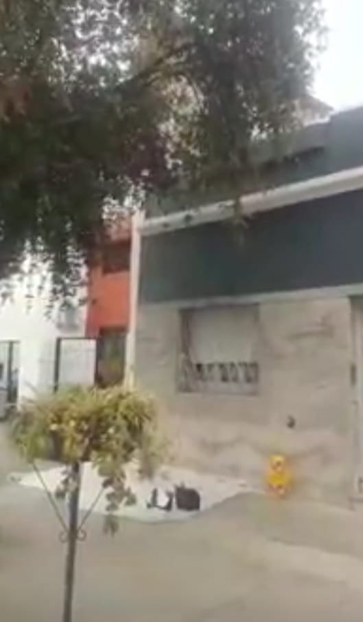 Exterior de obra — preparación de frente